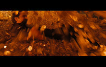 Charger l'image dans la galerie, Pièce dorée - Le Monde fantastique d'Oz (2013)
